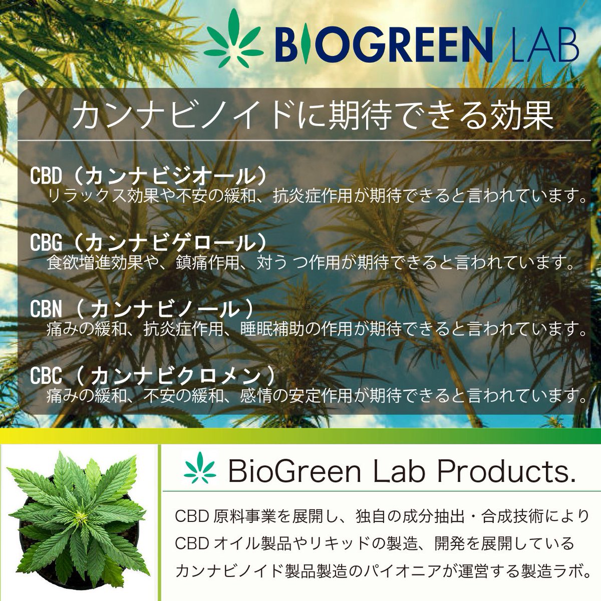 weedyshop's tweet image. CBH PRO人気です‼️今3種類のフレーバーと、1ml.0.5mlでセール販売中です🌿🙆BGLさんの製品は損をさせない出来になっているので是非お試しください‼️
#CBHPRO #H4CBH #CRDP #CRDH