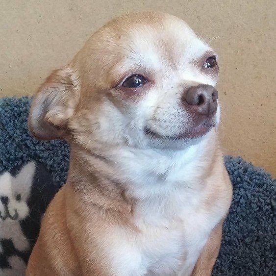 07들 04 두 명한테 이렇게 대함

ㅈㅎㅇ                                                             ㅊㄹㅇ