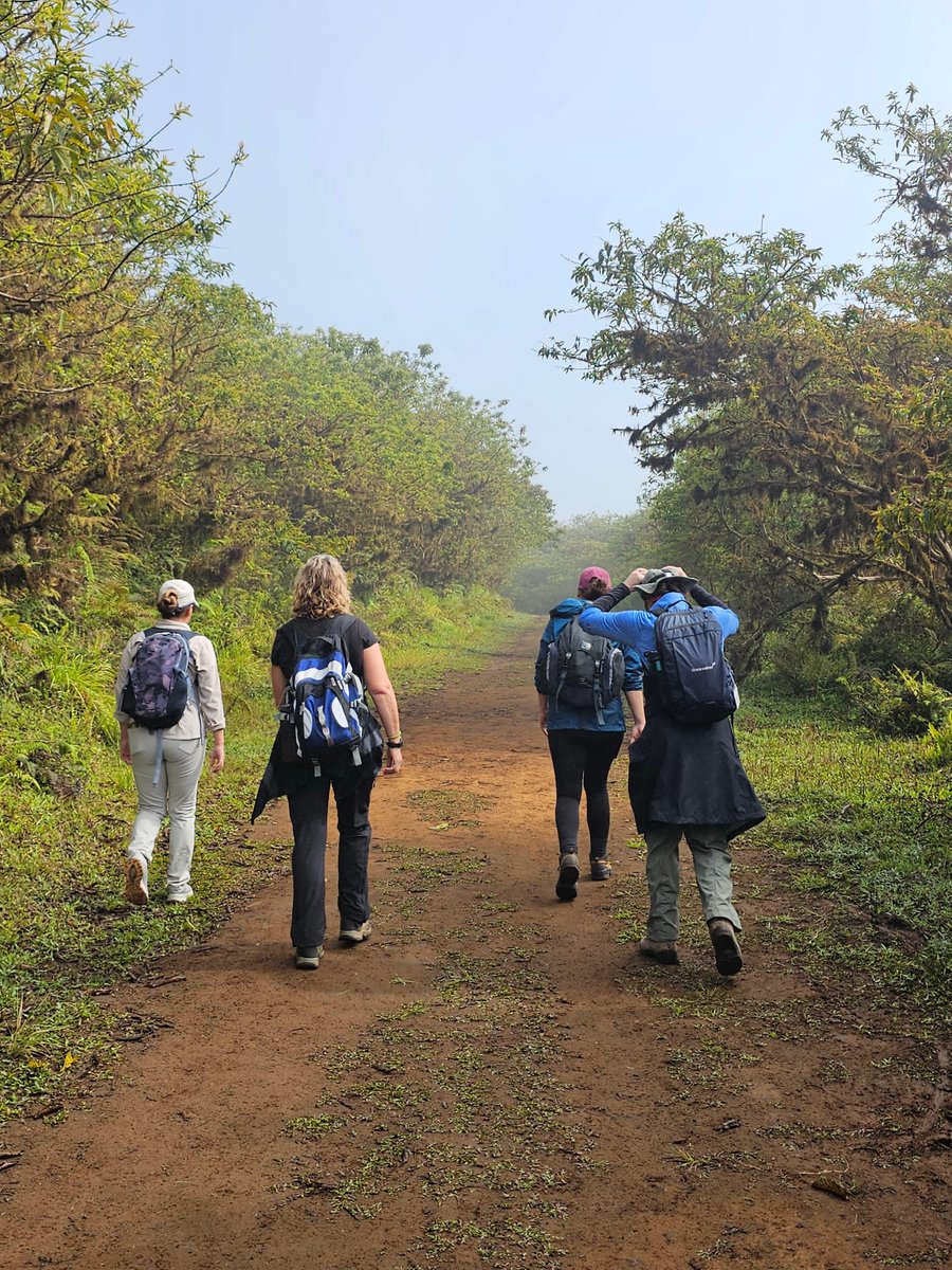 CamiAdventures's tweet photo. Our small-group Galapagos tours are designed for travelers who value comfort, safety, and discovery.
CamiAdventures https://t.co/EvdYUwrlKU
#GalapagosAdventure #SeniorTravel #NatureLovers #TravelComfortably #CamiAdventures https://t.co/WF1Q0e3a3I