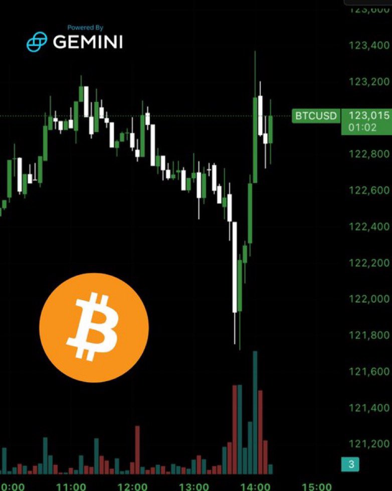 🟠BTC-ARCHIVE: "Bitcoin supera i 123.000 dollari"