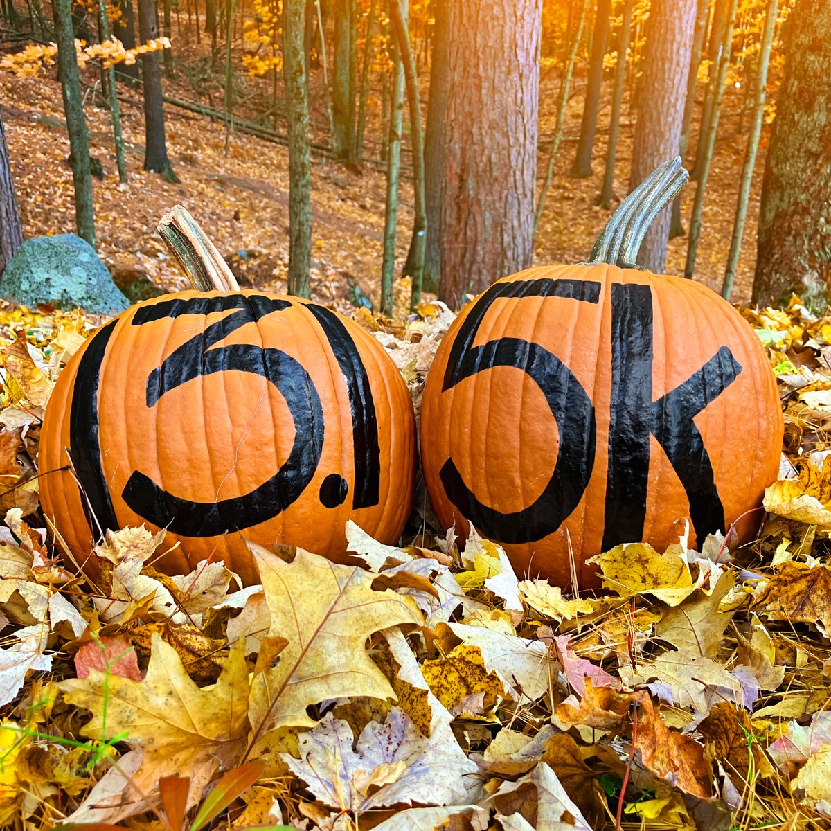 3eaglehalf's tweet image. Our pumpkin mile markers are ready! #3DaysAndCounting until the 2025 @3eaglehalf. We're expecting a great turnout and great weather, and there's still time to register here: 3eaglehalf.com