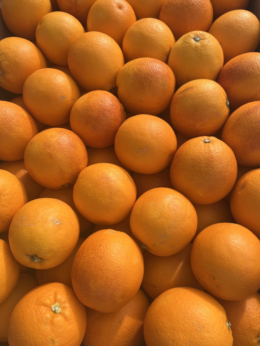 Mrfruityltd's tweet photo. #NewStock https://t.co/dWafaATVeD