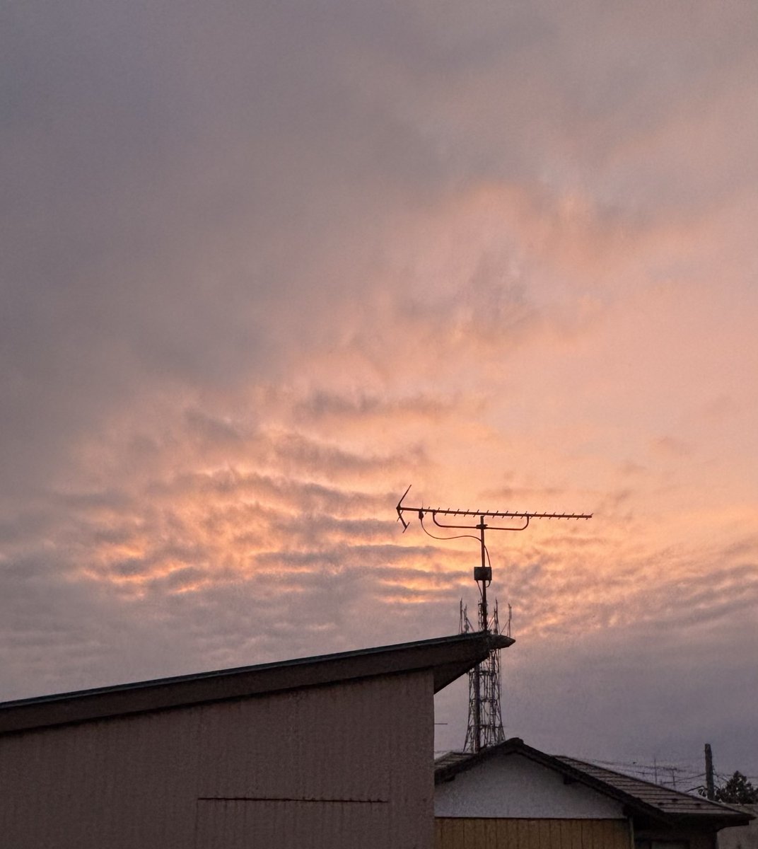 ri_cokintyan3's tweet photo. 今日夜勤明けで帰って寝てたんだけど 夕方目が覚めたら家の階段がピンクになっててあわまじだ〜と思って撮った写真📸
#WILDBLUE
#WB_OurMagic https://t.co/5FVsnsC1np