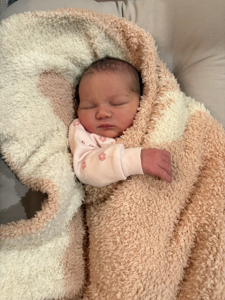 BakeAndCake tweet media