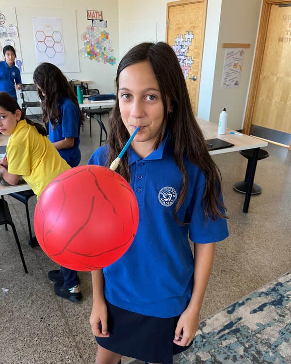 richlandacad's tweet image. Our Grade 5 students explored the respiratory and circulatory systems, learning how they function individually and together to keep us alive and energized. They also built lung models using straws, paper bags, and balloons! #BodySystems #RespiratorySystem #CirculatorySystem