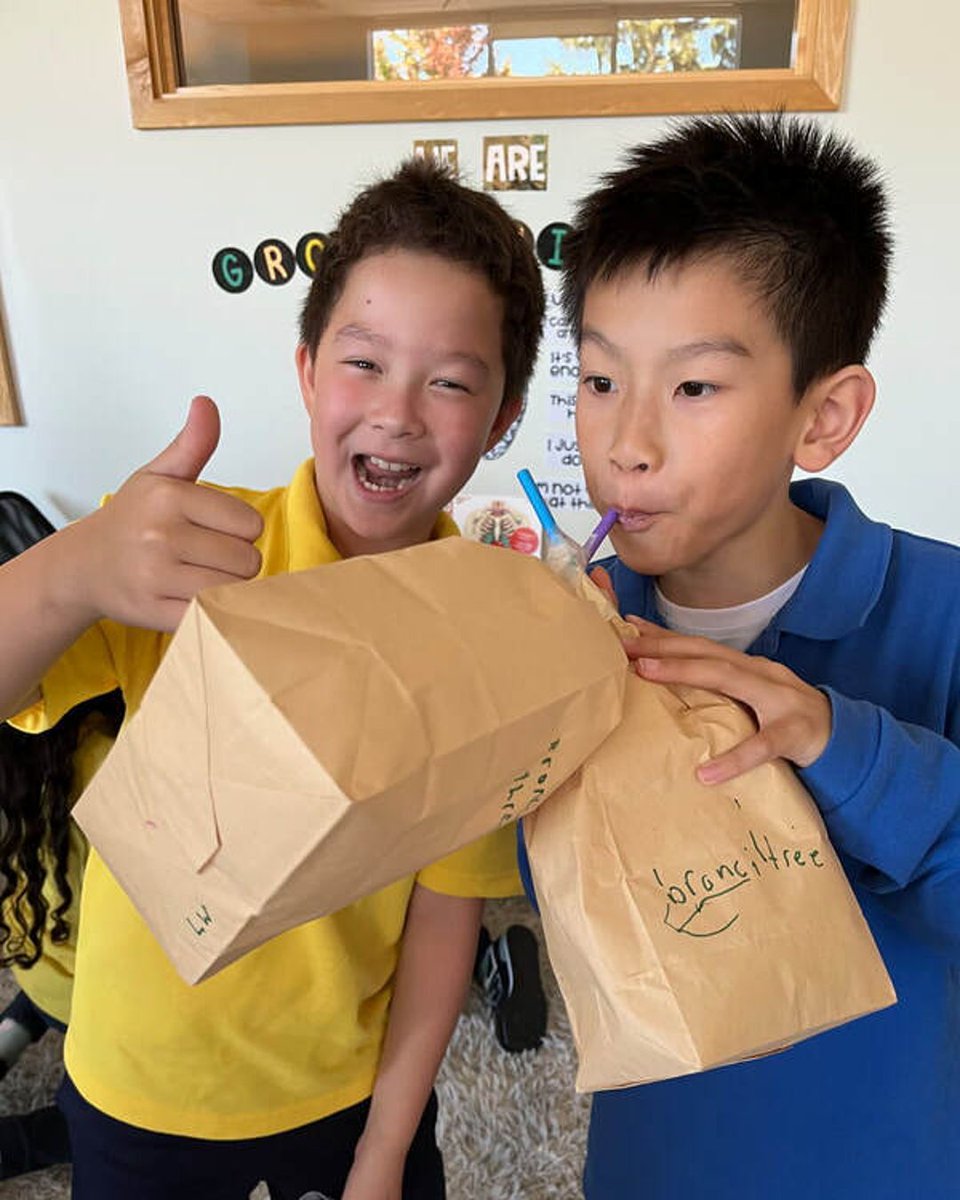 richlandacad's tweet image. Our Grade 5 students explored the respiratory and circulatory systems, learning how they function individually and together to keep us alive and energized. They also built lung models using straws, paper bags, and balloons! #BodySystems #RespiratorySystem #CirculatorySystem