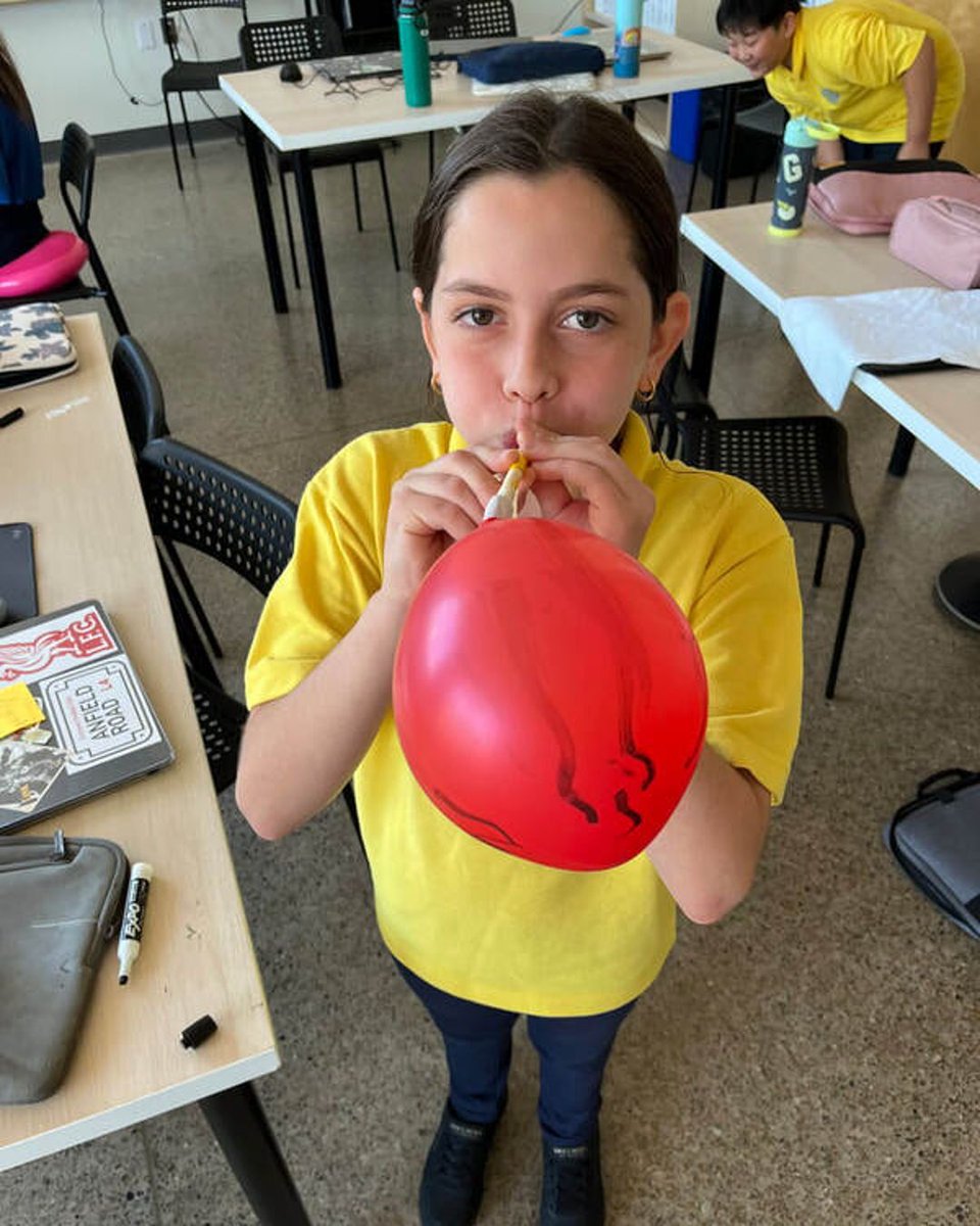 richlandacad's tweet image. Our Grade 5 students explored the respiratory and circulatory systems, learning how they function individually and together to keep us alive and energized. They also built lung models using straws, paper bags, and balloons! #BodySystems #RespiratorySystem #CirculatorySystem