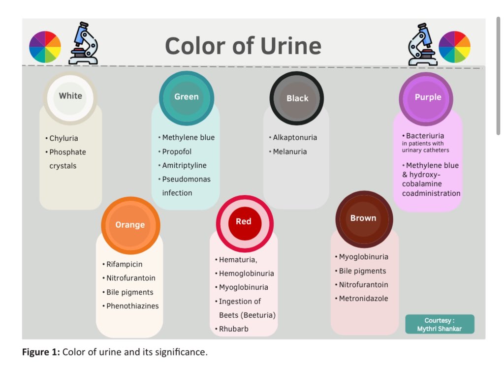 nephromythri's tweet image. Delighted to share that our review article “Urinalysis – The Liquid Kidney Biopsy” has been published in the Indian Journal of Nephrology.
A simple yet powerful tool, urine analysis remains central to understanding kidney disease – from identifying the affected compartment to…