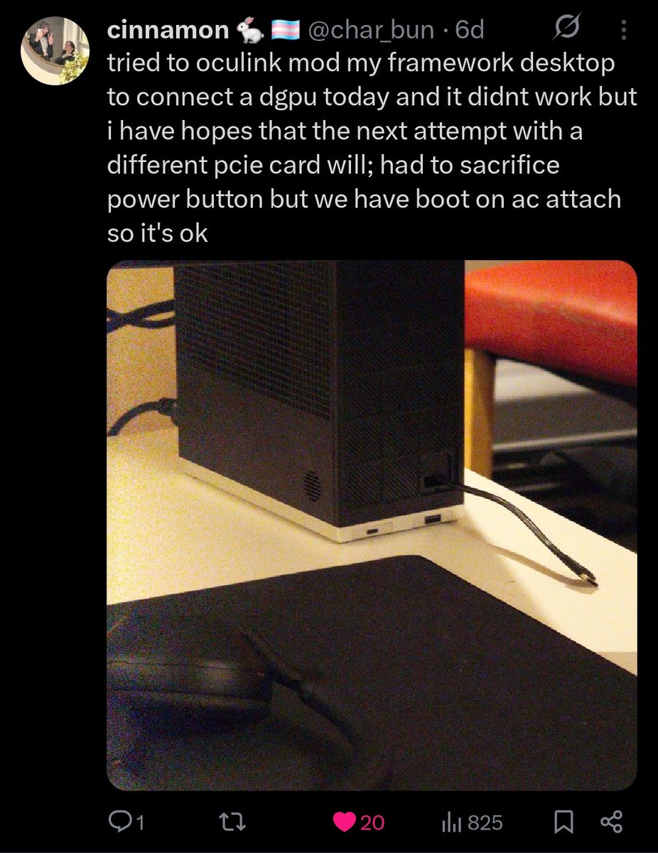 maddy catgirlprostate tweet media