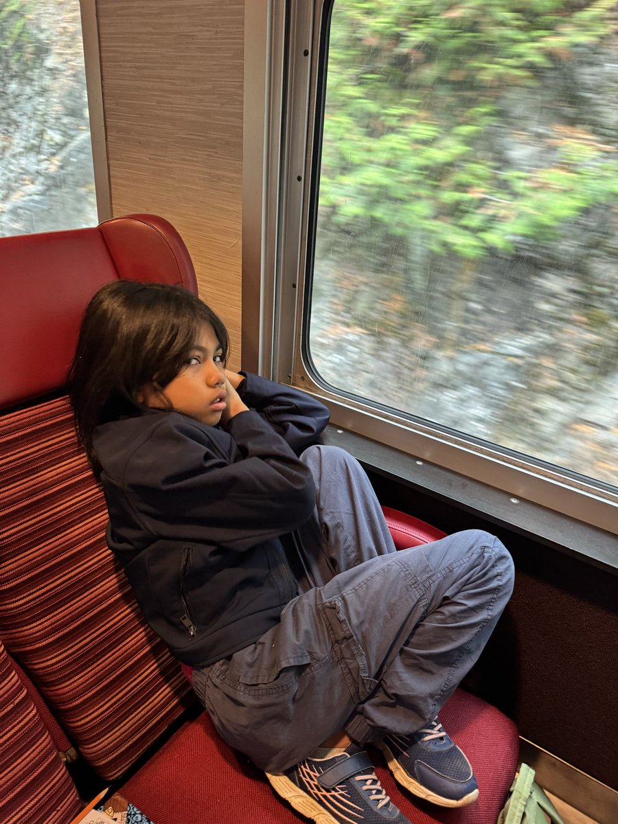 HWSF_Huskies's tweet photo. A BIG Thank you to JDI, PALS and NB Southern for the beautiful train ride yesterday. The leaves changing color made it a beautiful drive! https://t.co/mywBr7d1Iq