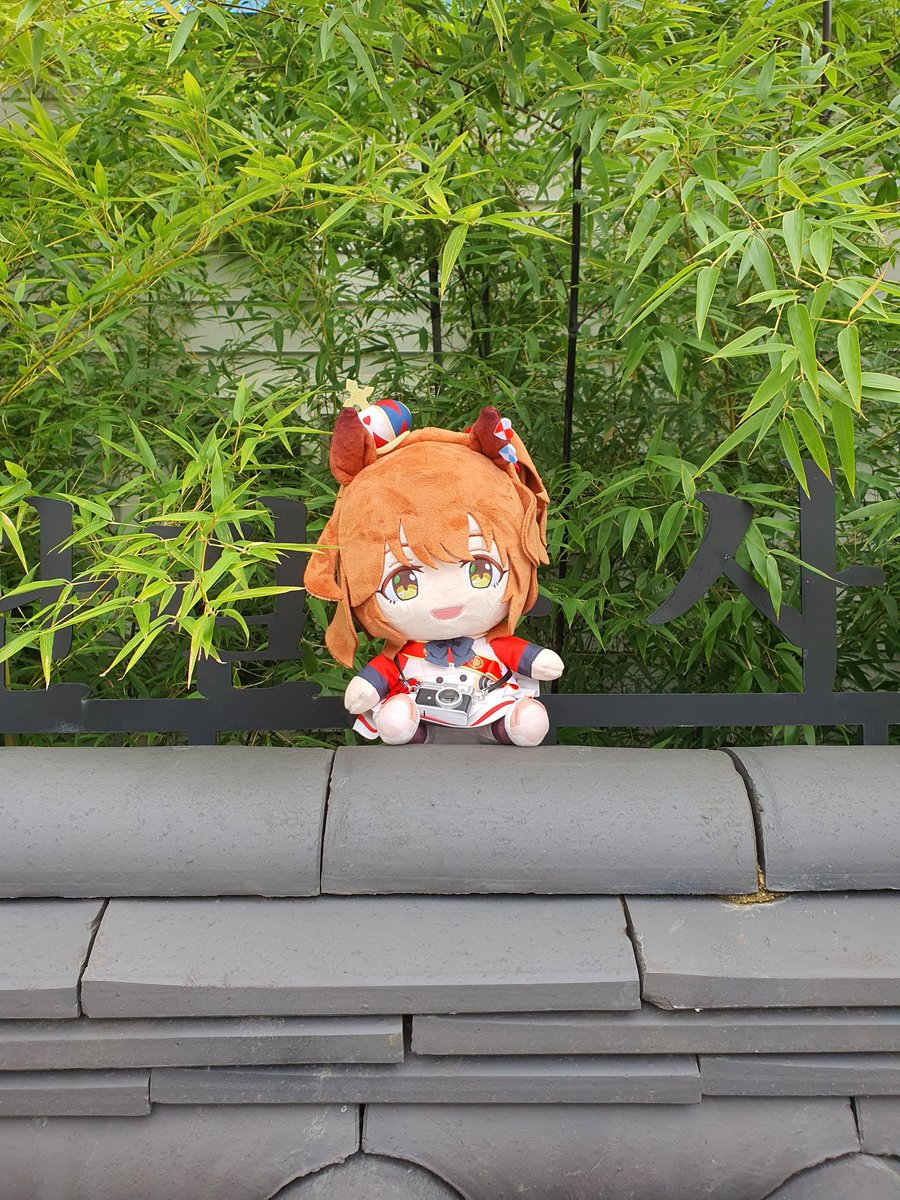 🥕 (@6543_plz) on Twitter photo 