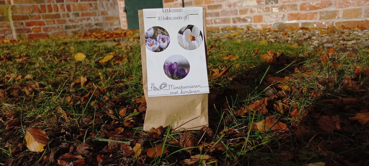 oudersvannature's tweet image. 🌸🌹🌷 Deze biologische bloembollen krijg je tot 1/11 cadeau (1 zakje per klant) als je toegang koopt tot de kleuteractiviteiten moestuinierenmetkinderen.nl/moestuinactivi… en/of de activiteiten voor 6-12 jaar.
moestuinierenmetkinderen.nl/moestuinactivi…
Je betaalt 1x en hebt forever toegang 🤩 #bloembollen #biologisch