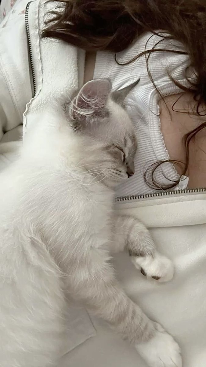 Hazel__234's tweet photo. Morning cuddles with this little bundle of joy. Nothing better to start the day. https://t.co/uuPdGUDb6M
