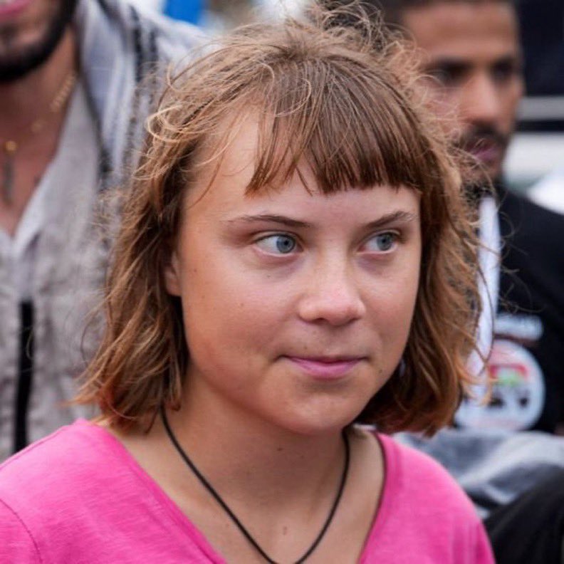 Wolf 🐺 tweet media