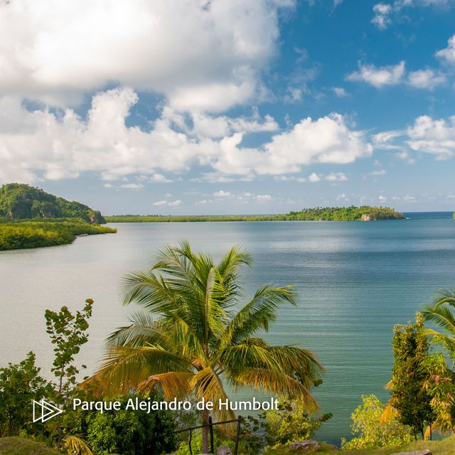 ¿Ya visitaste alguno de estos sitios Patrimonio de la Humanidad?
- Cafetales del sudeste de Cuba
- Centro histórico de Camagüey
- Centro histórico de Cienfuegos
- Parque Nacional Alejandro de Humbolt

#CubaTravel #CubaUnica #CiudadesConHistoria