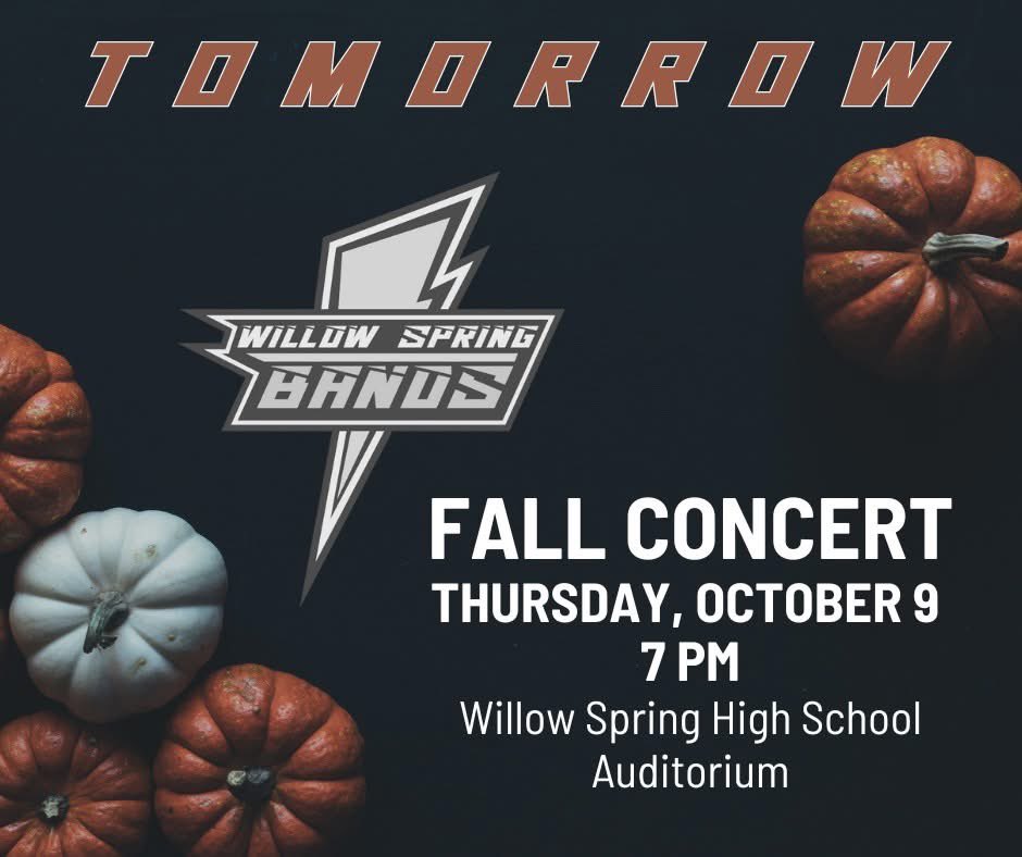 Willow Spring Bands tweet media