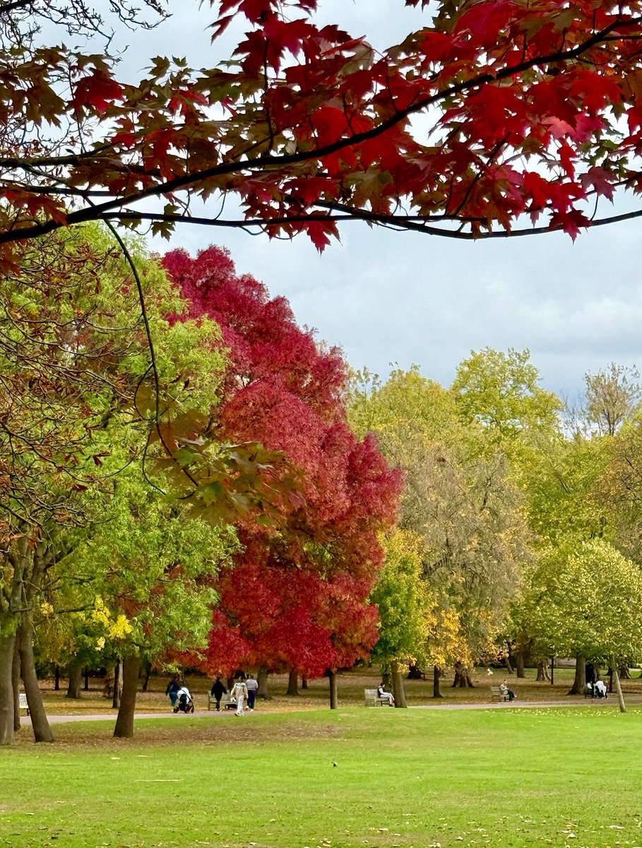 James Montgomery tweet media