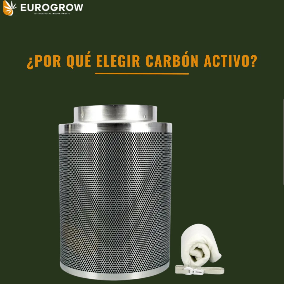 🌿 El carbón activo de los filtros antiolor Filtrokoa atrapa moléculas de olor de forma eficaz.
👉 Resultado: aire limpio y cultivo más discreto.

Un sistema sencillo, eficiente y duradero.

#eurogrow #growshop #cultivo #filtros #carbón