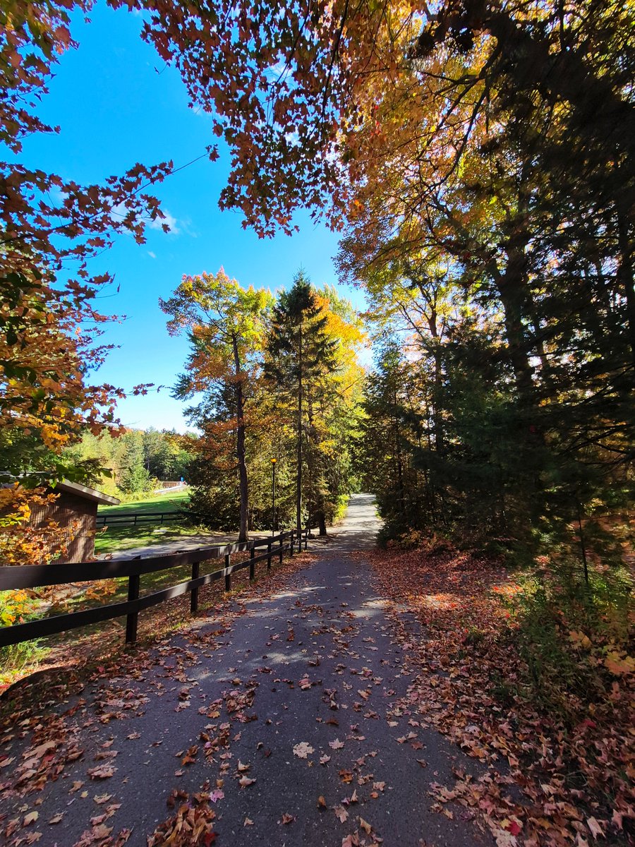 Happy fall y'all! Fall has officially arrived here @ #OastlerLake

The best perks of camping in a small park during the fall months?

🍂 Less crowds
🍂 Beautiful scenery 
🍂 No bugs!

Come stay with us during our peak fall colour season, you won't be disappointed!