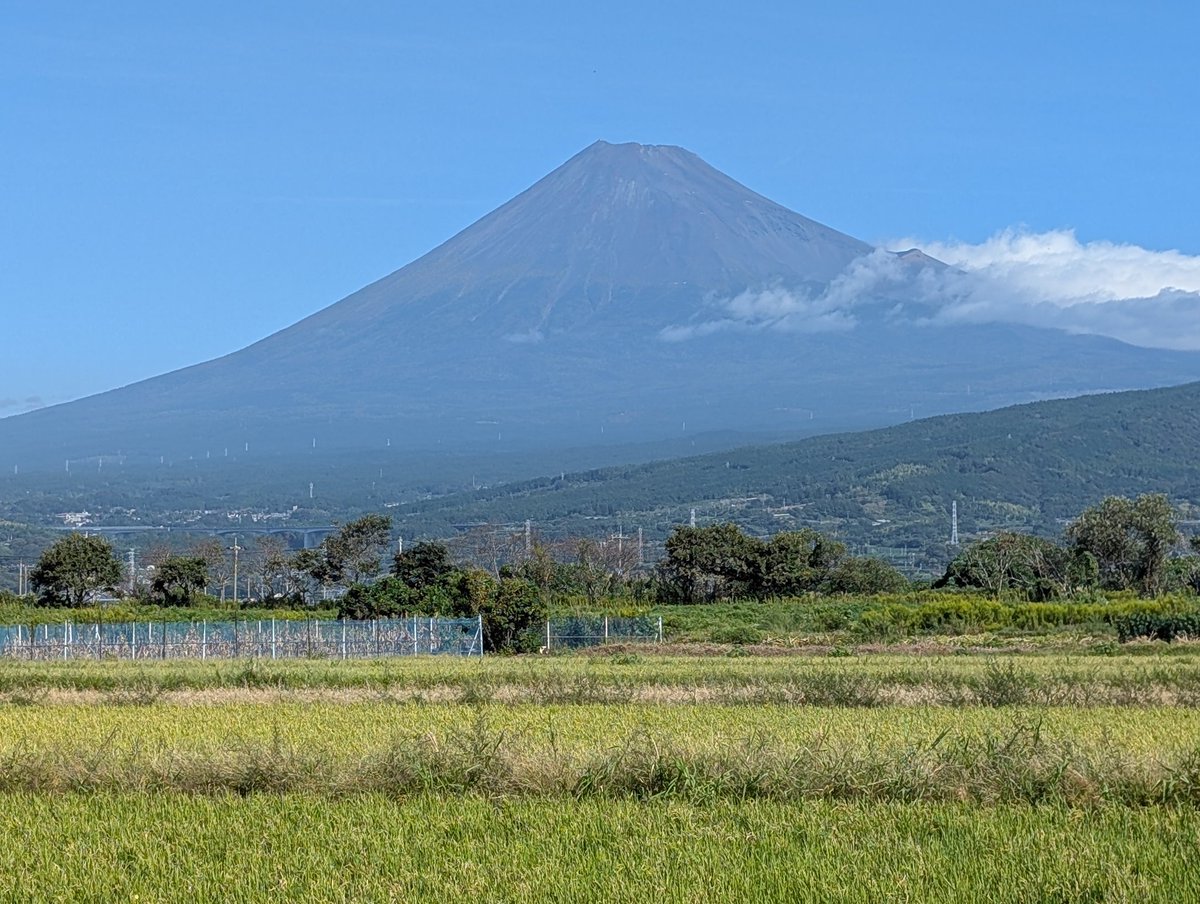 A2✨白龍と富士山 ✨ No. 10 虹の不死鳥No.5 【 宇治るぽさま専用】 たかよし on X: 