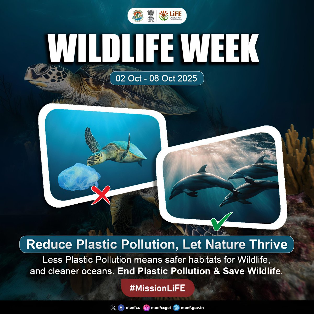 blwvaranasi's tweet photo. Reduce Plastic Pollution, Let Nature Thrive
Less Plastic Pollution means safer habitats for Wildlife, and cleaner oceans. End Plastic Pollution & Save Wildlife.
#MissionLiFE #ProPlanetPeople
#WildlifeWeek #WildlifeWeek2025
@RailMinIndia @moefcc https://t.co/oId2yxyL31
