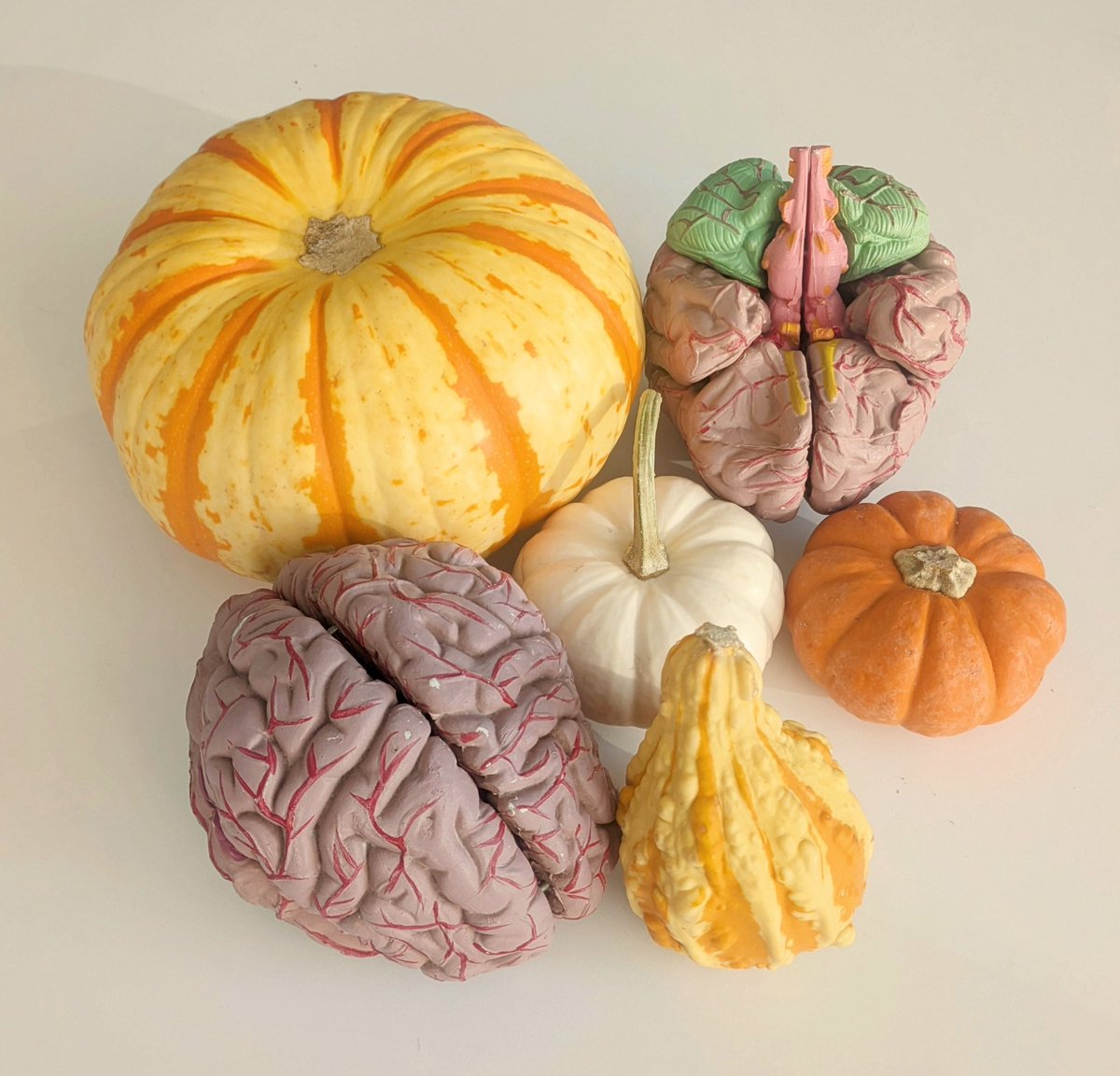 Tyler Perrachione tweet media