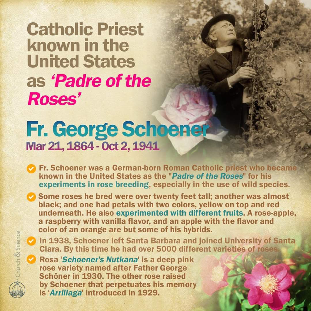ChurchNScience's tweet photo. German 🇩🇪 born roman Catholic Priest known in the United States 🇺🇲 as ‘Padre of the Roses’ - Fr. George Schoener (Mar 21, 1864 - Oct 2, 1941). #churchandscience #roses #catholic #priest 🌹🏵️ https://t.co/d4acYsF4Hp