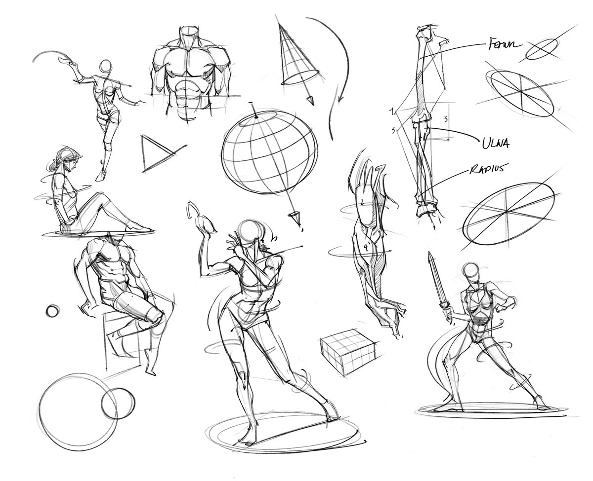 saqomolo's tweet image. Morning gestures and anatomy Bridgman studies! #bridgman #lineart #sketches #gottogetbetter #goals #figuredrawing #gesturedrawing #anatomy #humananatomy