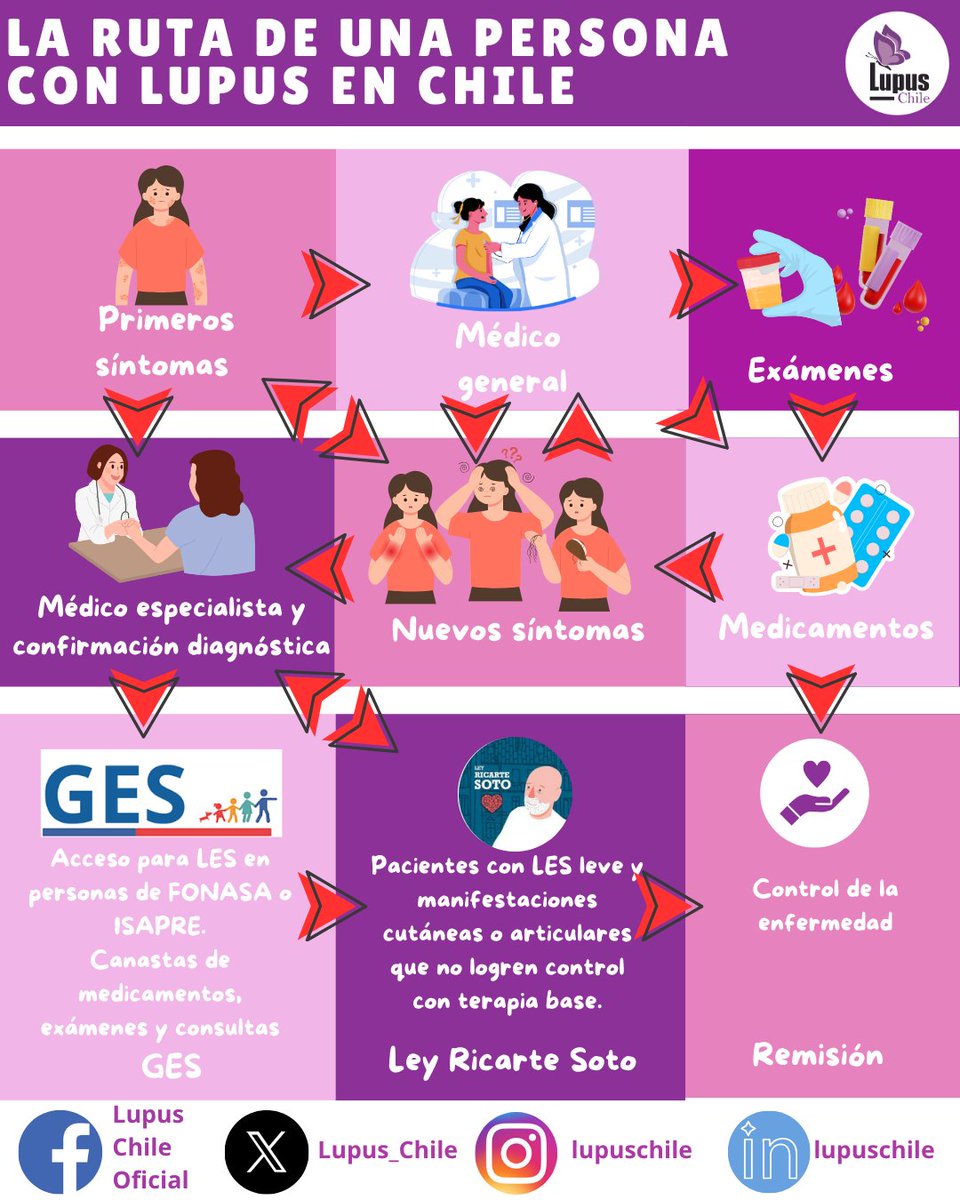 Lupus_Chile's tweet image. La ruta de una persona con Lupus en Chile es personal, pero podemos reconocer puntos comunes a personas con Lupus Cutáneo o con Lupus Sistémico que quisimos mostrar en este tablero.

.Como sea tu camino, no perdamos de vista la meta: la remisión o control de la enfermedad.