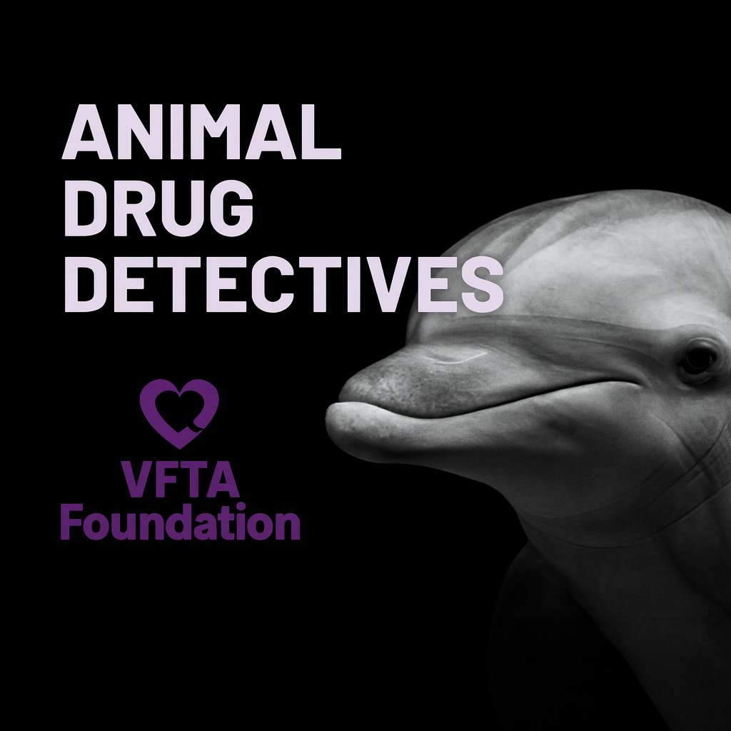 “Animal drug detectives” now reveal what whales, goats, and others ingest. This saves lives—but it also reveals how much animals suffer before help arrives.

Read more: yahoo.com/news/articles/…

Tech is not enough. We need compassion and accountability. Do you agree?