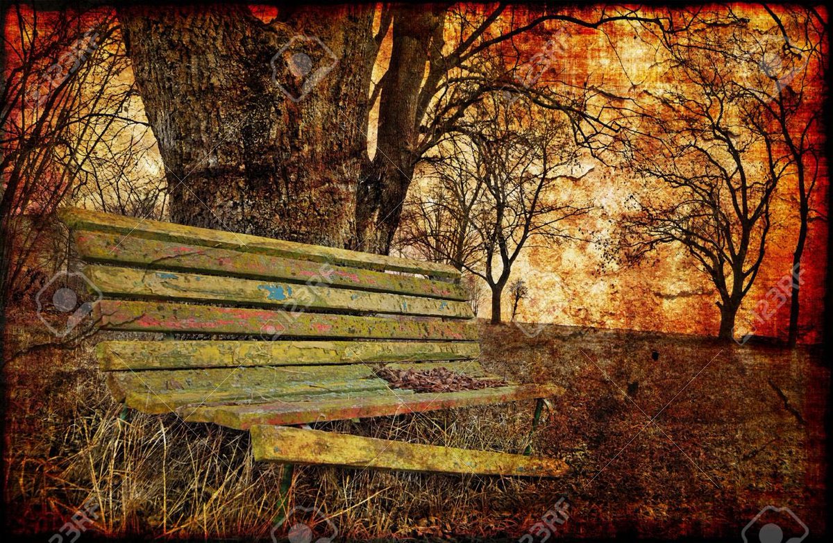 saminterroge's tweet photo. Un habit de soleil aux ocres végétaux
Vêt les pans forestiers aux senteurs de l’automne
Mais dans ce fauve lieu des illusions atones
Le souvenir de toi me griffe de ses mots

Les bogues sous mes pas crissent la vaine plainte
D’un rêve désormais sous des lueurs défuntes

#ombres https://t.co/DdlFcfxOFM
