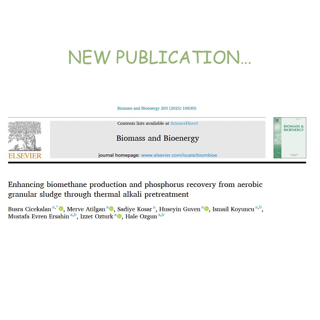 Our recent study in Biomass and Bioenergy shows that low-temperature thermal-alkali pretreatment of AGS sludge enhances methane production and phosphorus recovery as struvite, offering a cost-effective and sustainable sludge management strategy.