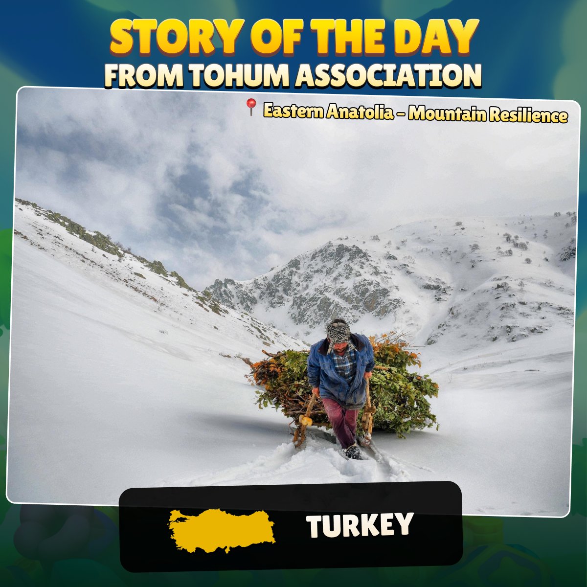 💡STORY OF THE DAY
💚From Tohum, our NGO partner in Turkey

In the harsh winter months, villagers climb rugged slopes to collect branches and fuelwood, enduring snow and cold to support their families. 

“This is not only about carrying wood - it is about carrying the weight of