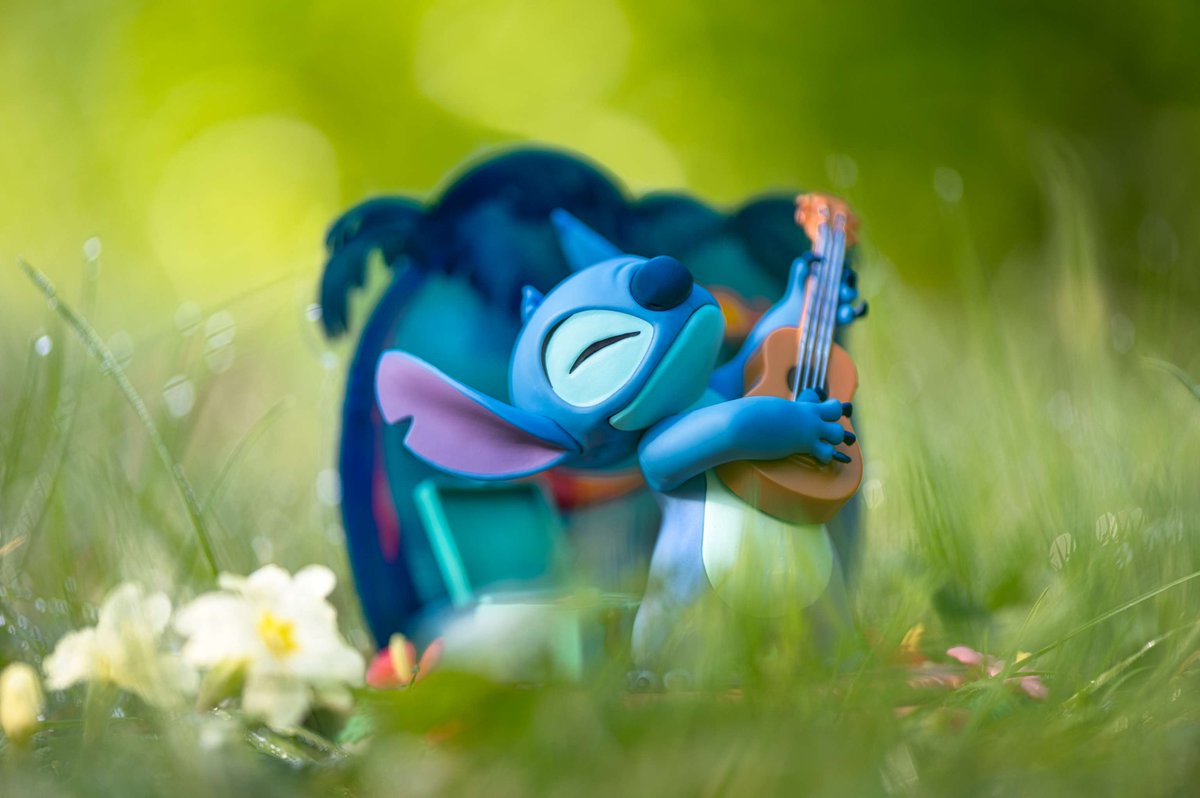 Holding his guitar and backed by his favorite vinyl tracks, this SG figure by ABYstyle Studio is perfect for fans of Disney's Lilo &amp; Stitch 🎸🌺

💥 Available now!

📷 olivier_mortier
#LiloEtStitch #LiloAndStitch #Stitch