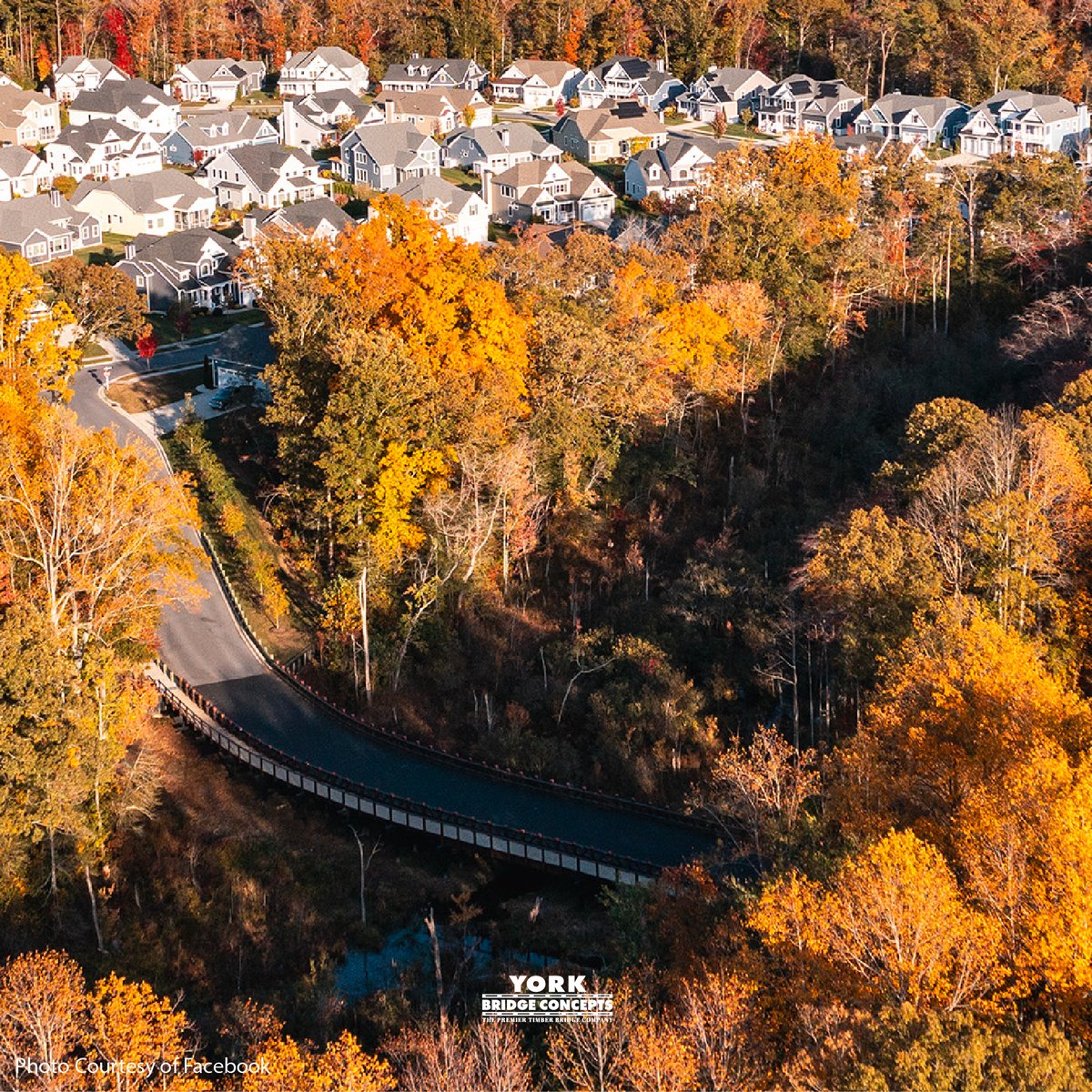 York Bridge Concepts tweet media