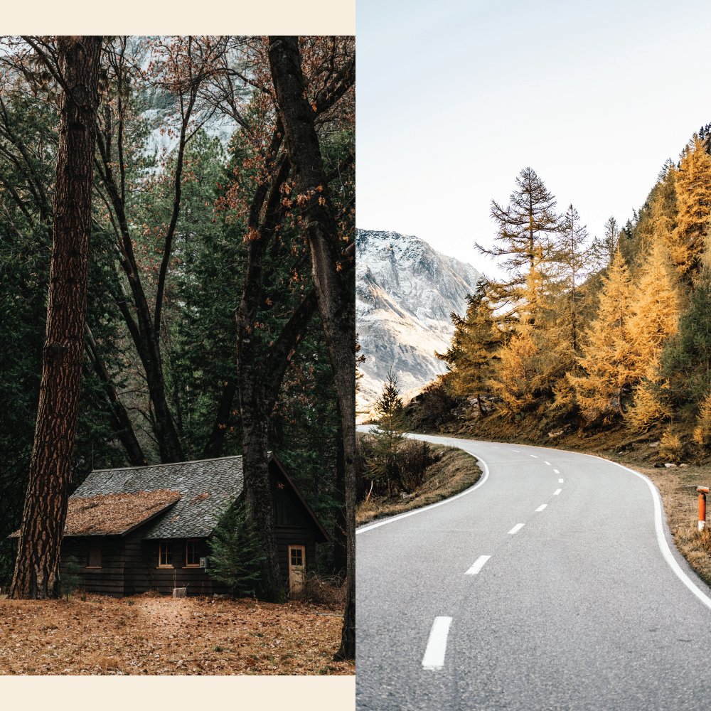 sellinglire's tweet image. Autumn adventures beckon: hit the open road or nestle in a cabin escape? #FallWeekend
Phillip King CNS, E-PRO, PSA, SFR, Smart Home Certified | Associate Real Estate Broker | Cell:516-241-6264 | sellinglongislandrealestate.com #Awesomeness #GlobalPower #LocalExpertise
