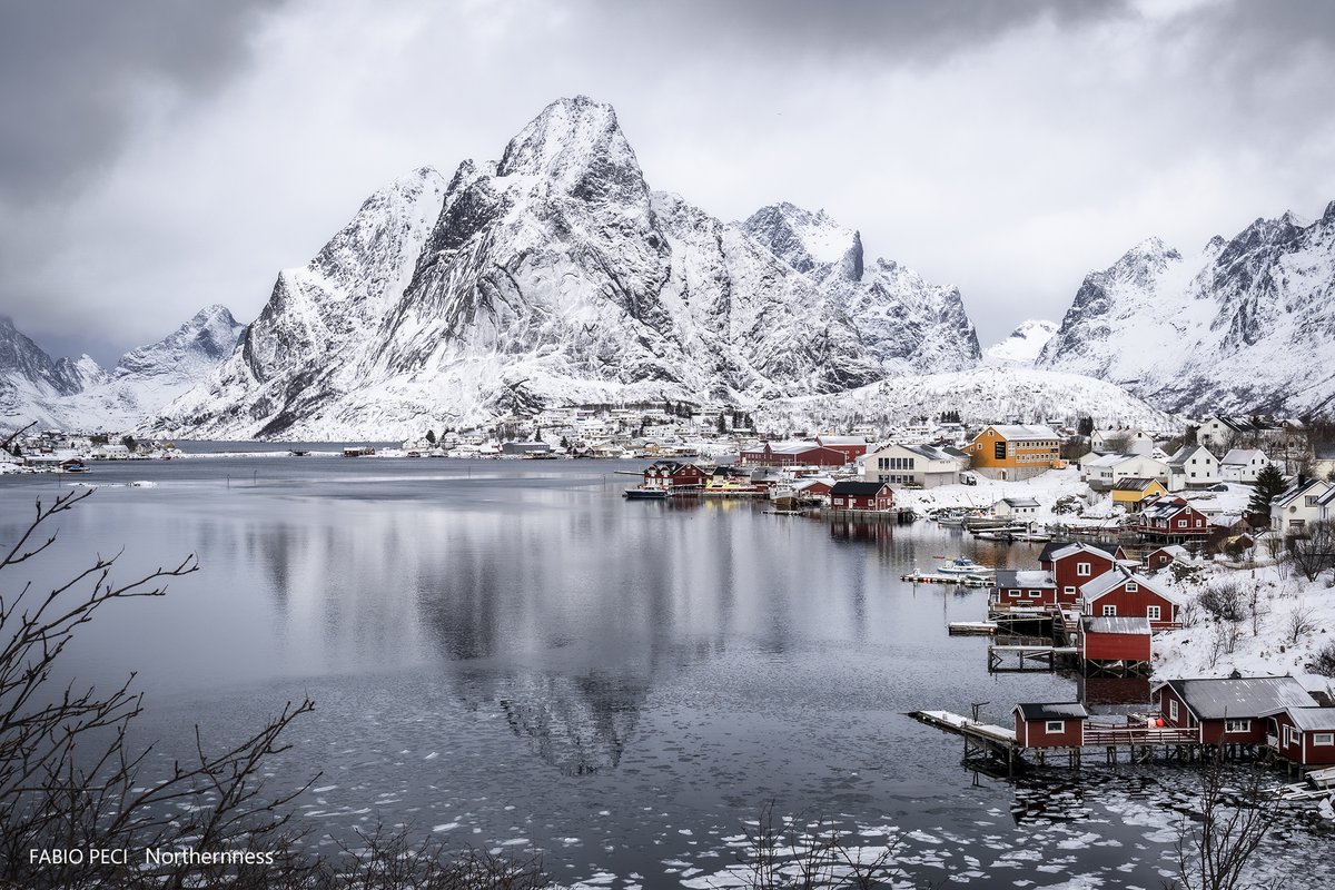 Ph by Fabio Peci, "Reine", 2025
—
Extract from NORTHERNNESS │More works and article 👉 shorturl.at/5aD6W