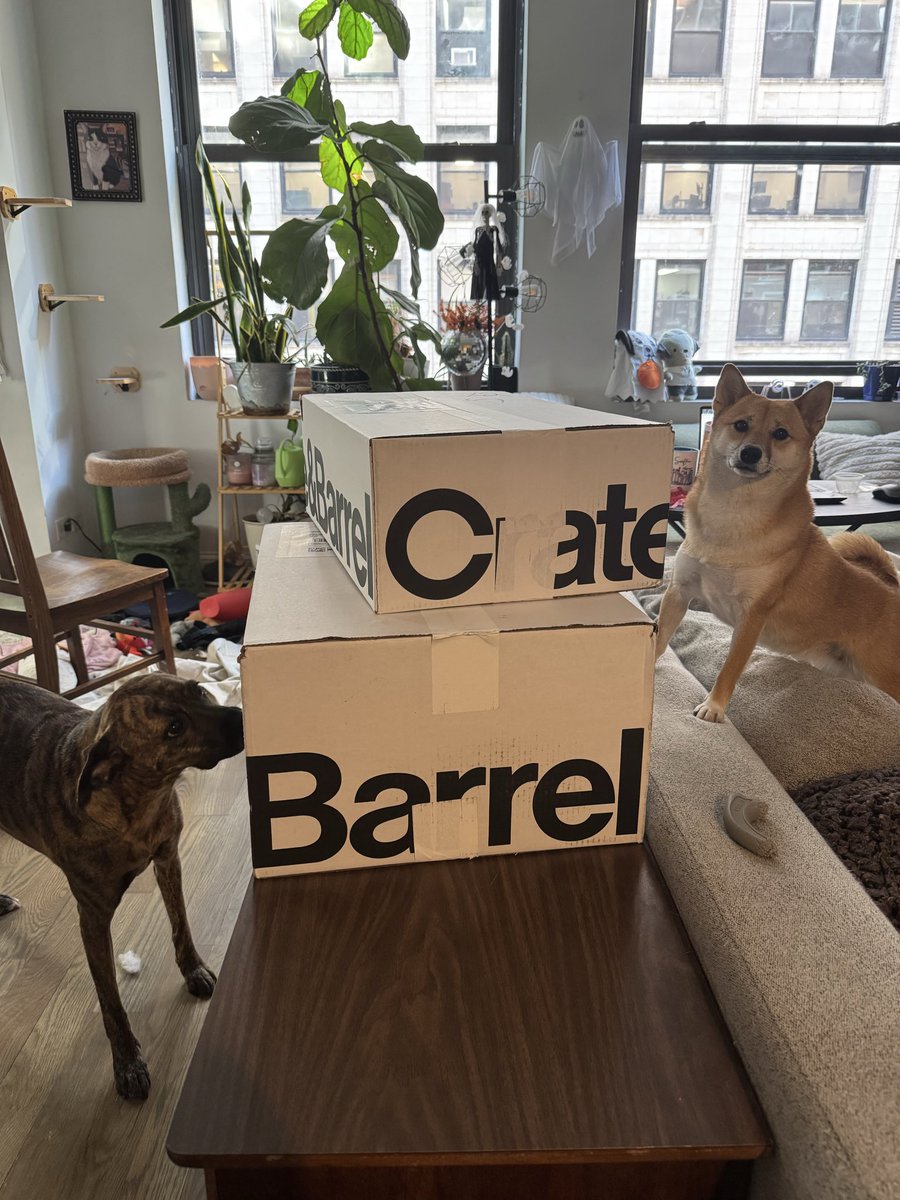 JorSmithy's tweet photo. I think the girls are excited about registry items getting delivered https://t.co/jj3W29b9Wh
