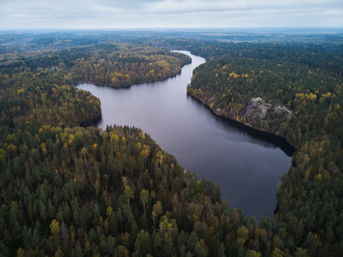 Like-a-krill tweet media