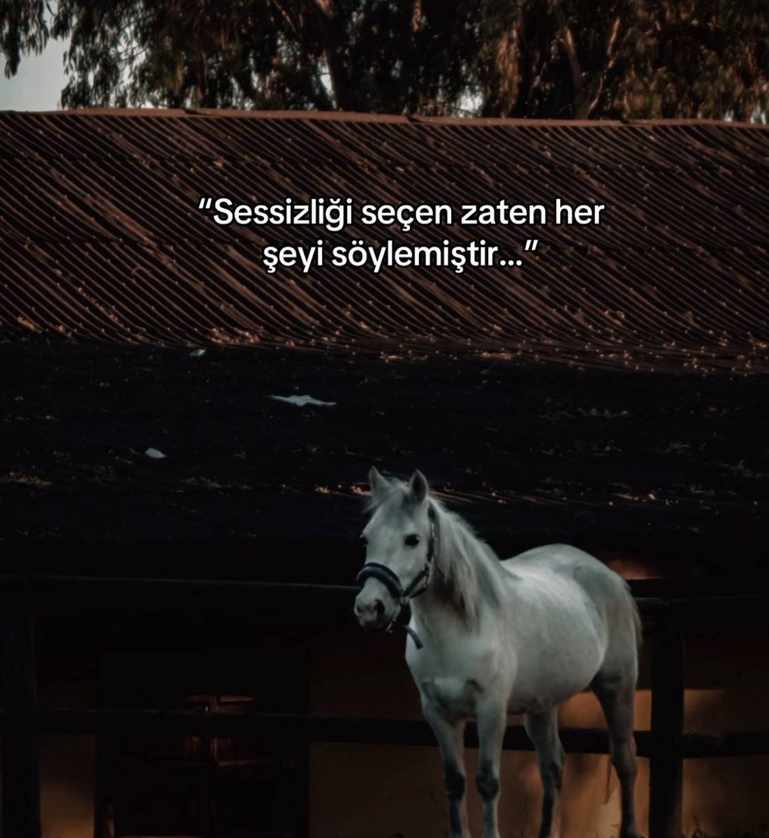 Bir gün var asra (@birgunvarasra) on Twitter photo 