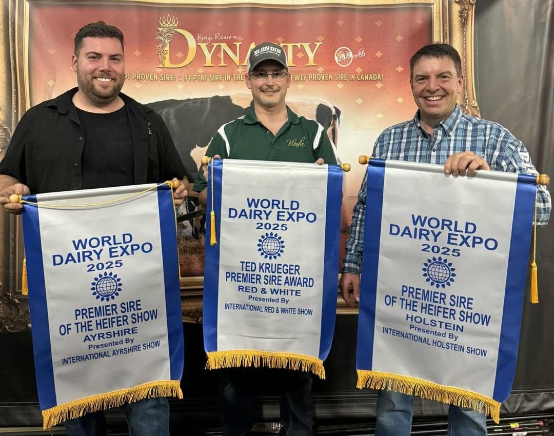 WORLD DAIRY EXPO 🎉Blondin et Jacobs récompensés 

Blondin Sires et Ferme Jacobs sont repartis respectivement avec trois bannières et une bannière du WDE à Madison.

Les sujets québécois qui se sont démarqués 👇 vist.ly/49scy