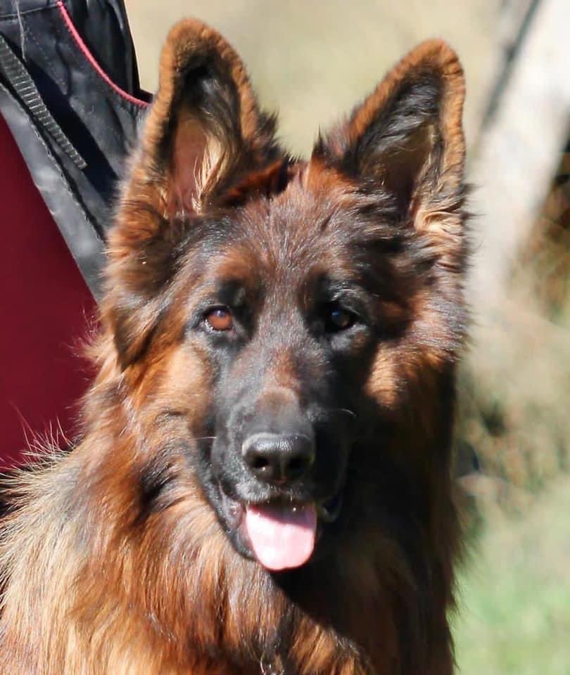 Esta preciosidad ha cumplido hoy 7 años. ❤️❤️