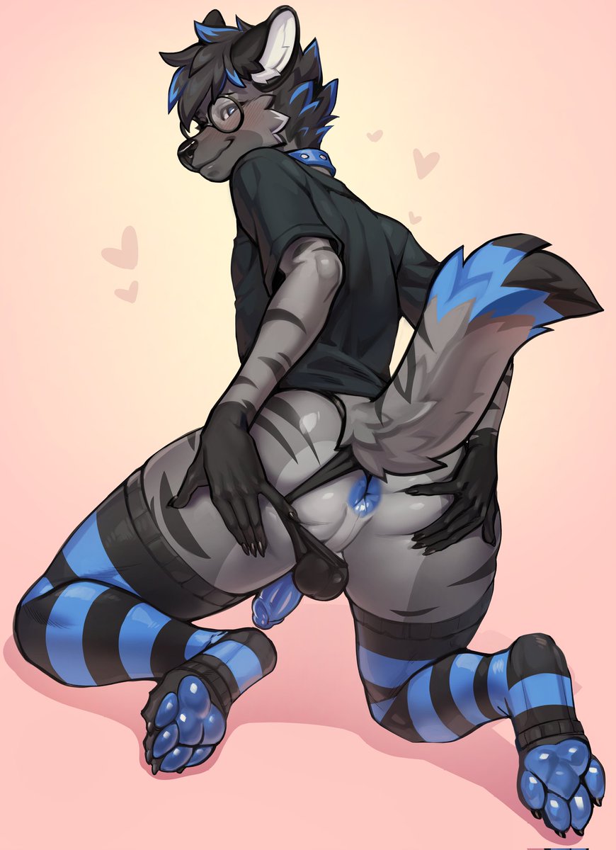 CBRAWR 600 F4i🔜FWA (@atl4thawin_) on Twitter photo 