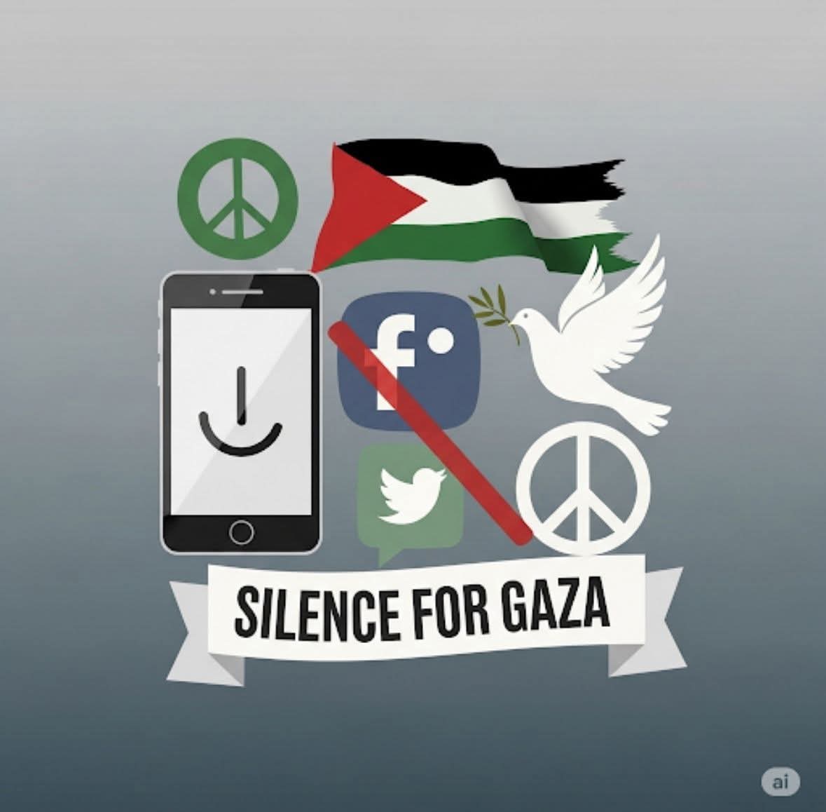 Asifa Gull آصفہ گل tweet media