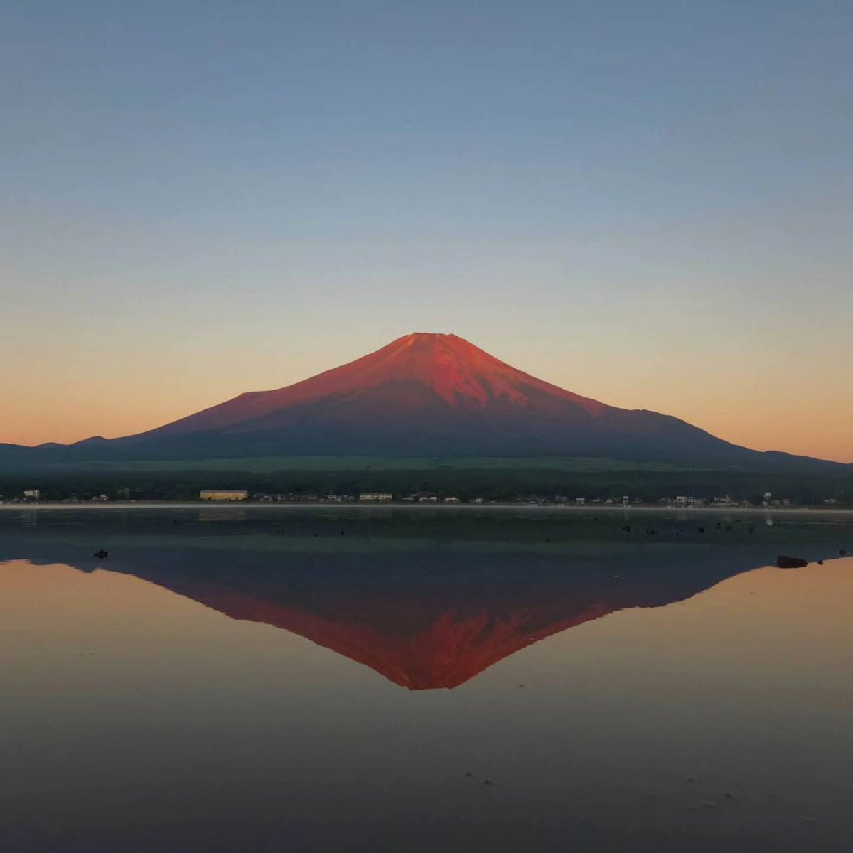 高見朝蒼 大富士 【公式通販】