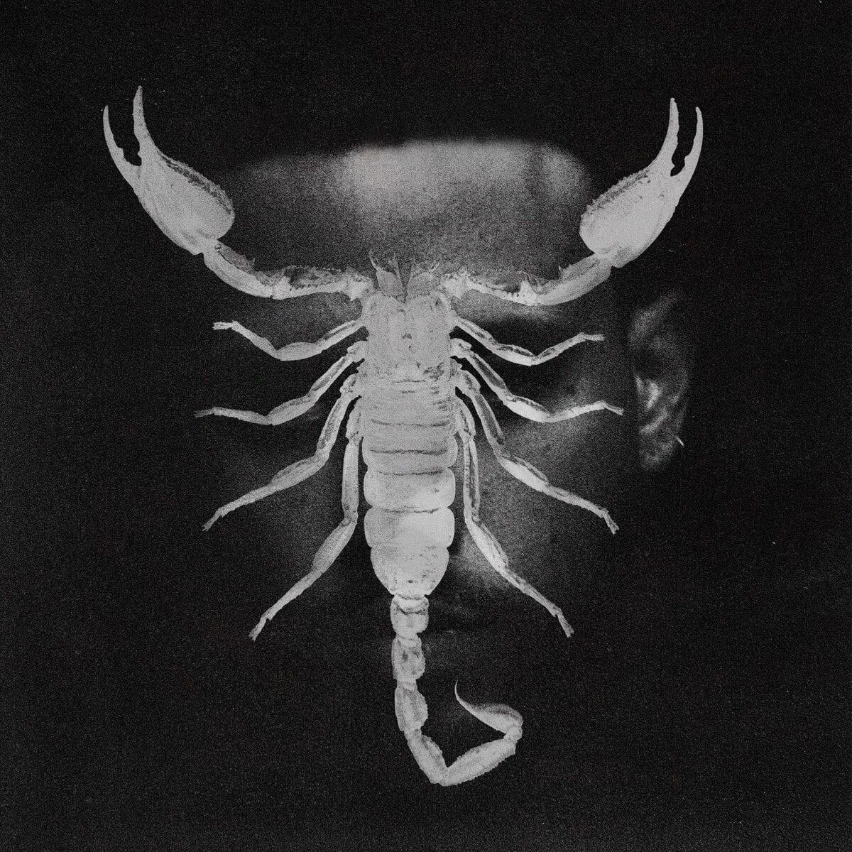 jhayconewz's tweet image. 🌝 | HORARIOS de “SCORPIO”

JUEVES 9 DE OCTUBRE:

🇦🇷 21:00 HS
🇺🇾 21:00 HS
🇨🇱 20:00 HS
🇵🇷 20:00 HS
🇺🇸 20:00 HS (MIAMI)
🇩🇴 20:00 HS
🇻🇪 20:00 HS
🇵🇾 20:00 HS 
🇨🇴 19:00 HS
🇪🇨 19:00 HS
🇵🇪 19:00 HS
🇲🇽 18:00 HS
🇸🇻 18:00 HS

VIERNES 10 DE OCTUBRE:

🇪🇸 02:00 HS

— #VieneBASQUIAT ✨