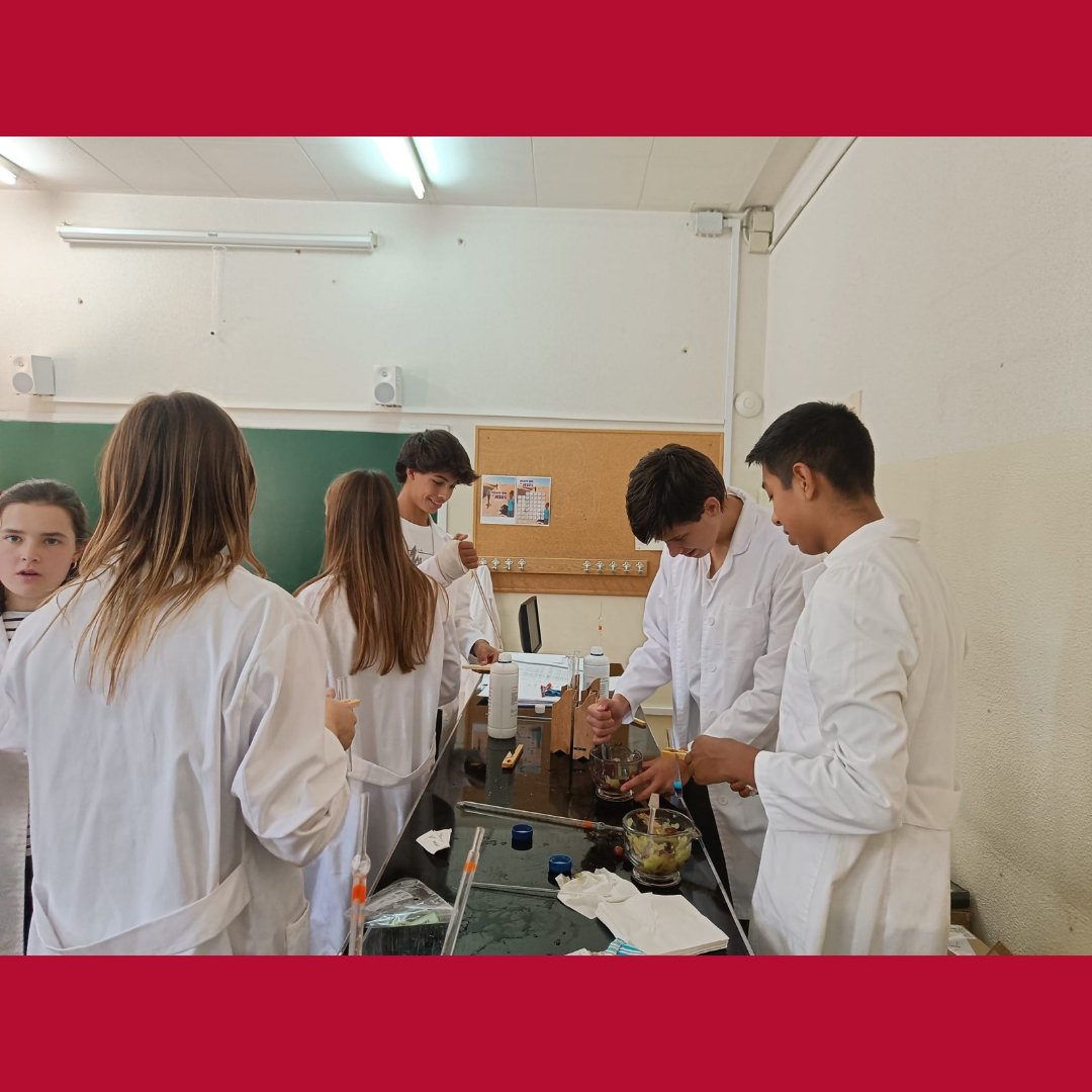 Los alumnos de Biología de 1° de Bachillerato tienen una clase práctica en el laboratorio reconociendo los distintos tipos de azúcares.