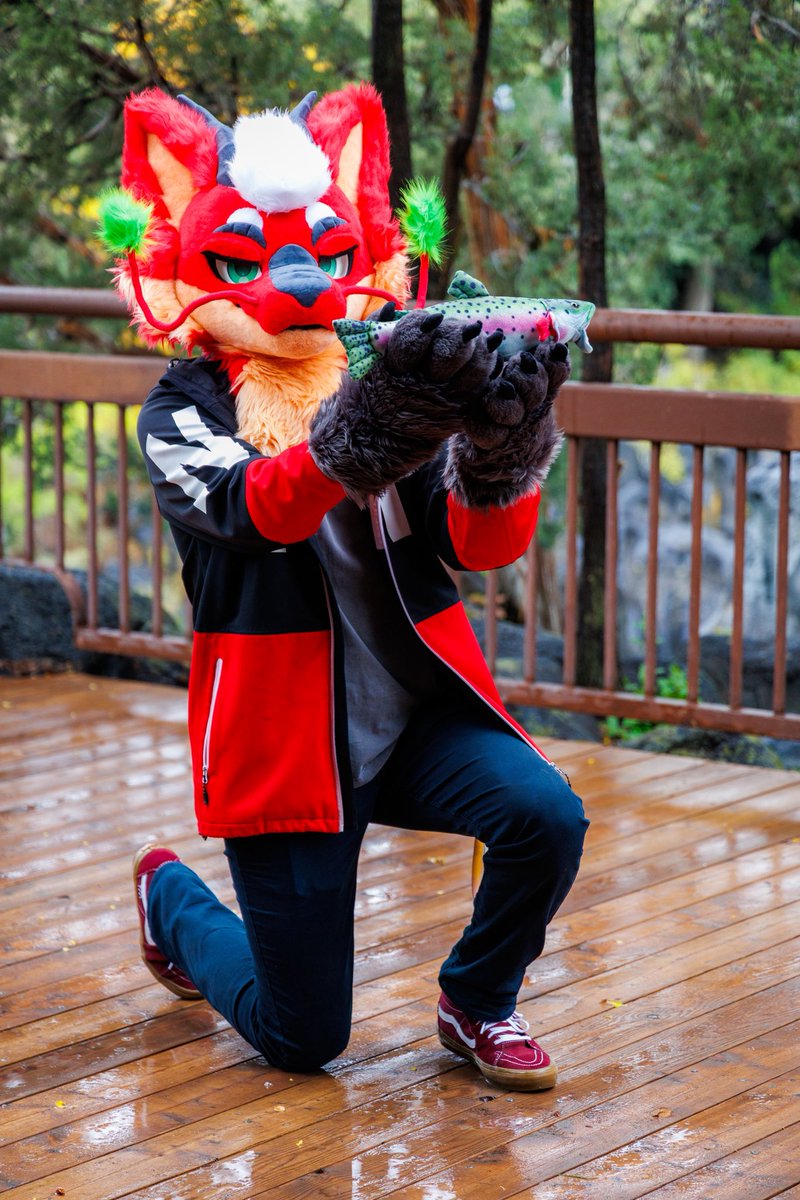 Do you accept my proposal?

📸: @tinedambereagle 
#furry #dragon #fursuiteveryday