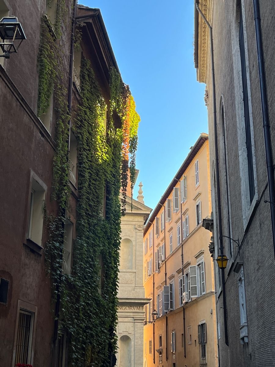 animaetars's tweet photo. Echo de menos la belleza de Roma. https://t.co/D0hhXueZJM