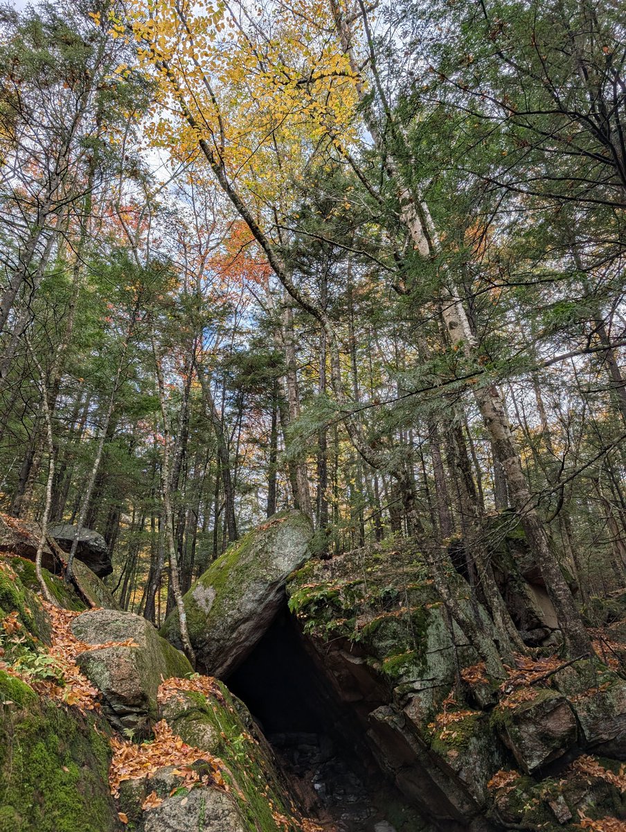 WholesomeNH's tweet image. The bear cave at Flume Gorge